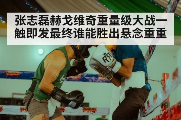 张志磊赫戈维奇重量级大战一触即发最终谁能胜出悬念重重